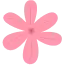 6 1.png